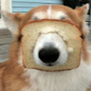 Meet your Posher, Therandomperson